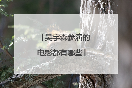 吴宇森参演的电影都有哪些