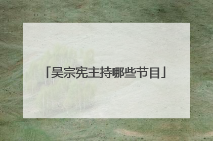 吴宗宪主持哪些节目