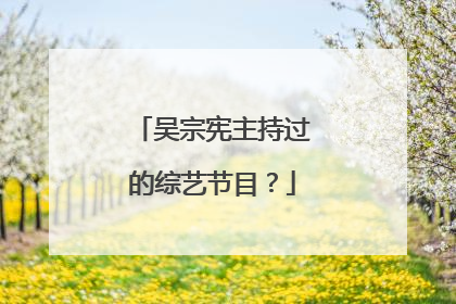 吴宗宪主持过的综艺节目？