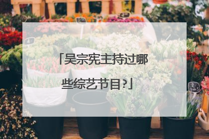 吴宗宪主持过哪些综艺节目?