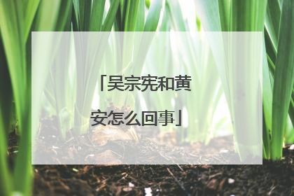 吴宗宪和黄安怎么回事