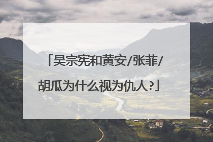 吴宗宪和黄安/张菲/胡瓜为什么视为仇人?
