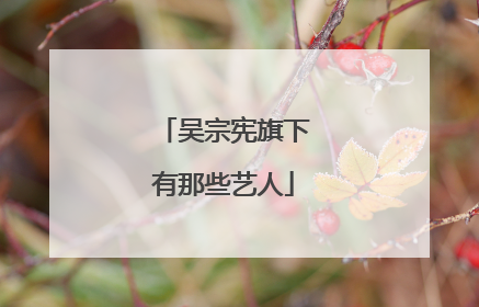 吴宗宪旗下有那些艺人