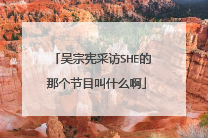 吴宗宪采访SHE的那个节目叫什么啊