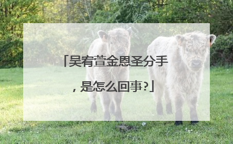 吴宥萱金恩圣分手，是怎么回事?