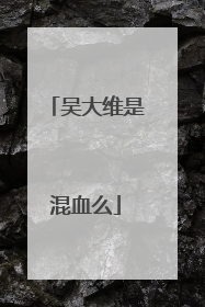 吴大维是混血么