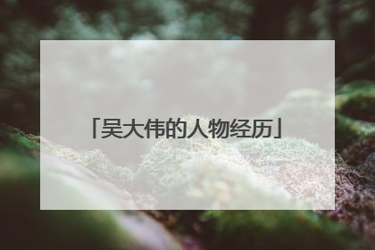 吴大伟的人物经历