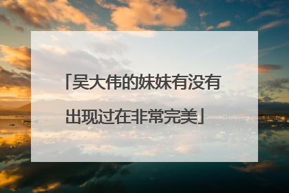 吴大伟的妹妹有没有出现过在非常完美