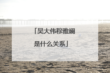 吴大伟穆雅斓是什么关系