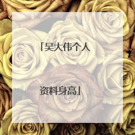 吴大伟个人资料身高
