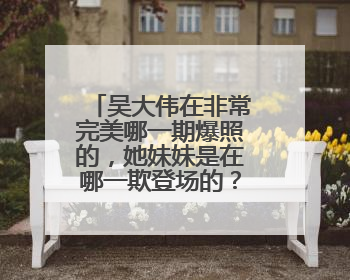 吴大伟在非常完美哪一期爆照的，她妹妹是在哪一欺登场的？求求！！