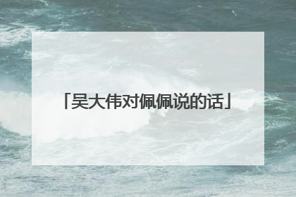 吴大伟对佩佩说的话