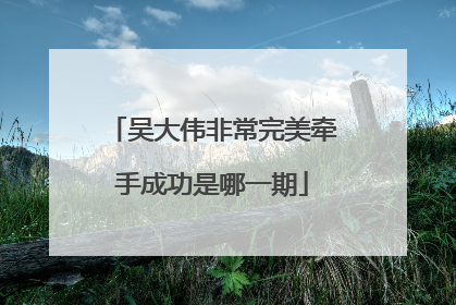 吴大伟非常完美牵手成功是哪一期