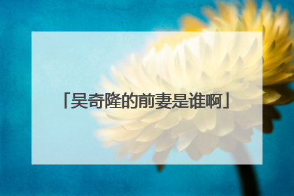 吴奇隆的前妻是谁啊