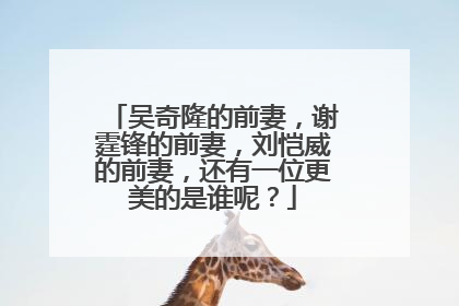 吴奇隆的前妻，谢霆锋的前妻，刘恺威的前妻，还有一位更美的是谁呢？