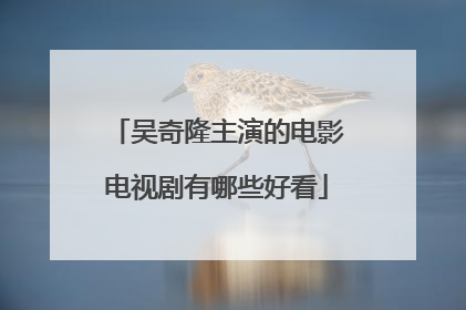 吴奇隆主演的电影电视剧有哪些好看