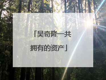 吴奇隆一共拥有的资产