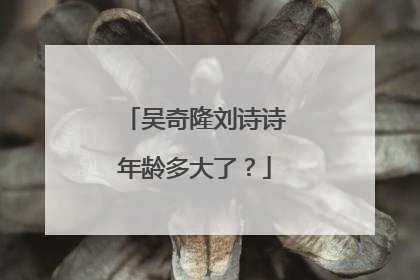 吴奇隆刘诗诗年龄多大了?
