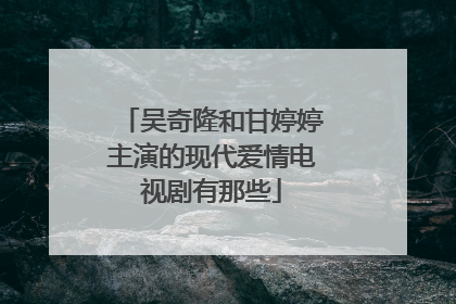 吴奇隆和甘婷婷主演的现代爱情电视剧有那些