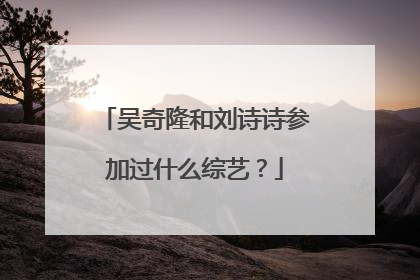 吴奇隆和刘诗诗参加过什么综艺？