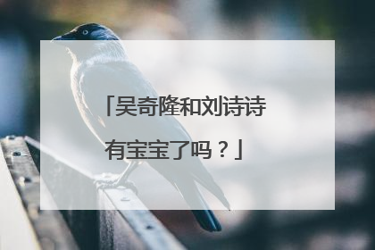 吴奇隆和刘诗诗有宝宝了吗?