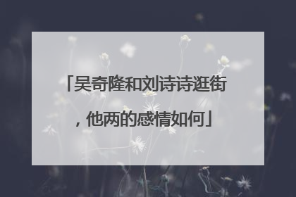 吴奇隆和刘诗诗逛街，他两的感情如何