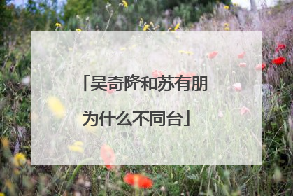 吴奇隆和苏有朋为什么不同台