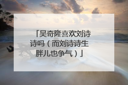 吴奇隆喜欢刘诗诗吗（而刘诗诗生胖儿也争气）