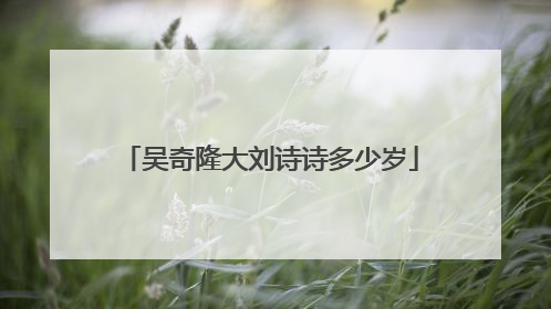 吴奇隆大刘诗诗多少岁