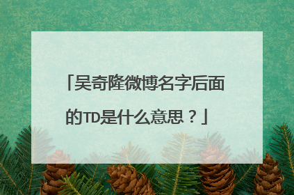 吴奇隆微博名字后面的TD是什么意思？