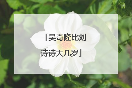 吴奇隆比刘诗诗大几岁