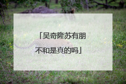 吴奇隆苏有朋不和是真的吗