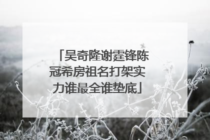 吴奇隆谢霆锋陈冠希房祖名打架实力谁最全谁垫底