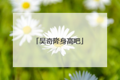 吴奇隆身高吧