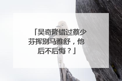 吴奇隆错过蔡少芬挥别马雅舒，他后不后悔？