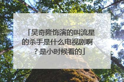 吴奇隆饰演的叫流星的杀手是什么电视剧啊?是小时候看的