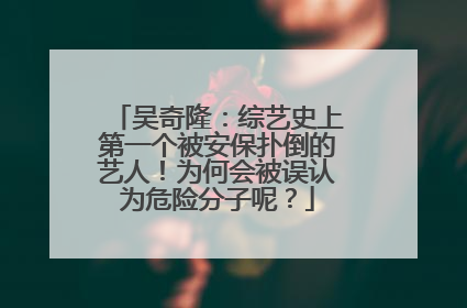 吴奇隆：综艺史上第一个被安保扑倒的艺人！为何会被误认为危险分子呢？
