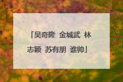 吴奇隆 金城武 林志颖 苏有朋 谁帅