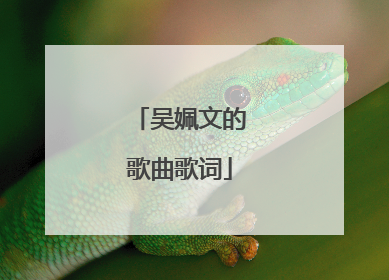 吴姵文的歌曲歌词