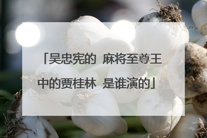 吴忠宪的 麻将至尊王中的贾桂林 是谁演的