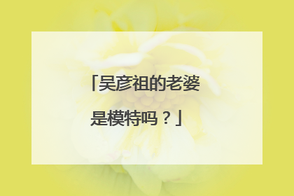 吴彦祖的老婆是模特吗？