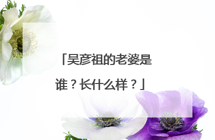 吴彦祖的老婆是谁？长什么样？
