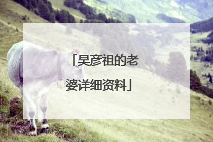 吴彦祖的老婆详细资料