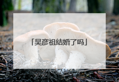 吴彦祖结婚了吗