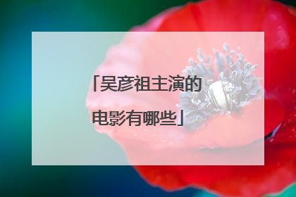 吴彦祖主演的电影有哪些