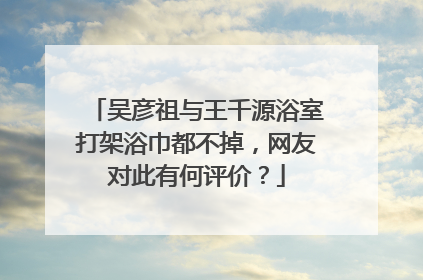吴彦祖与王千源浴室打架浴巾都不掉，网友对此有何评价？