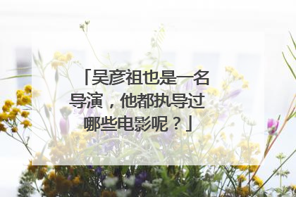 吴彦祖也是一名导演,他都执导过哪些电影呢?