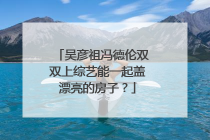 吴彦祖冯德伦双双上综艺能一起盖漂亮的房子？