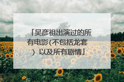 吴彦祖出演过的所有电影(不包括龙套) 以及所有剧情