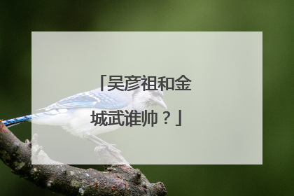 吴彦祖和金城武谁帅？